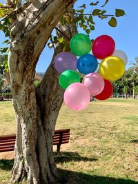 Multi colored balloons on tree in park