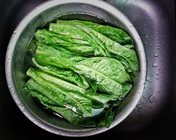 High angle view of leaf vegetables in bowl on sink