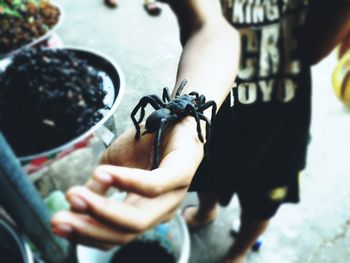 Close-up of cropped hand