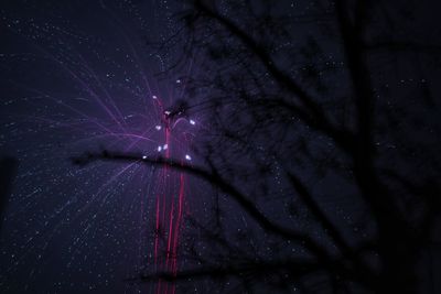 Low angle view of illuminated tree against sky at night