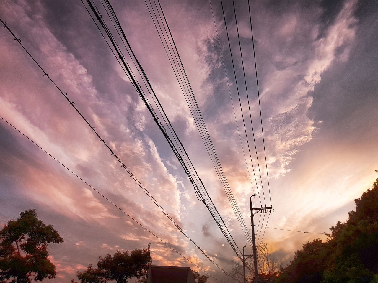 LOW ANGLE VIEW OF SILHOUETTE TREES AGAINST SKY DURING SUNSET