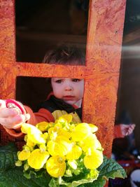 Close-up of cute girl holding flowers