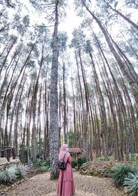 Woman standing by trees in forest