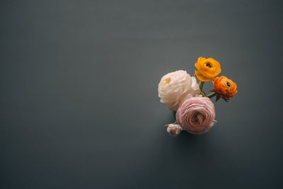 Close-up of yellow flower against black background