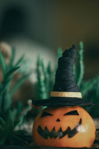 Close-up of pumpkin against blurred background