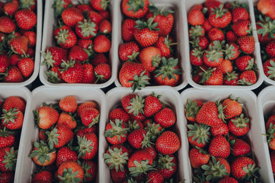 Top view of fresh strawberries on sale at a street market, portioned in recycled carton boxes.