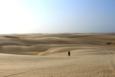 Man hiking on sand in desert against blue sky