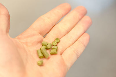 Close-up of hand holding leaf