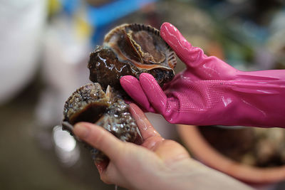 Cropped image of hand holding cockle at market