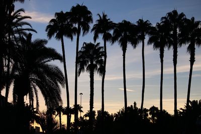 Low angle view of silhouette palm trees against sky