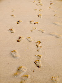 High angle view of footprints on sand