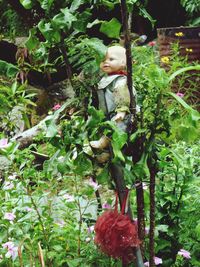Close-up of statue against trees
