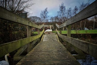 Footbridge over canal amidst trees against sky