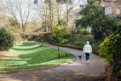 Rear view of couple walking on footpath in park