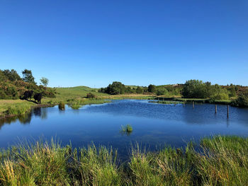 Scenic view of lake against clear blue sky