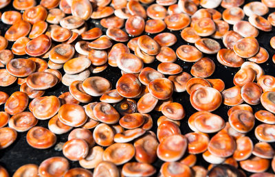 Close-up of seashells for sale at market