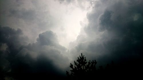 Low angle view of trees against cloudy sky