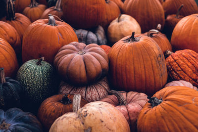 Full frame shot of pumpkins for sale at market