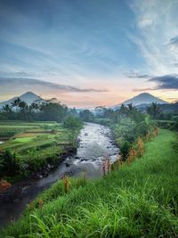 
view of mount sindoro sumbing