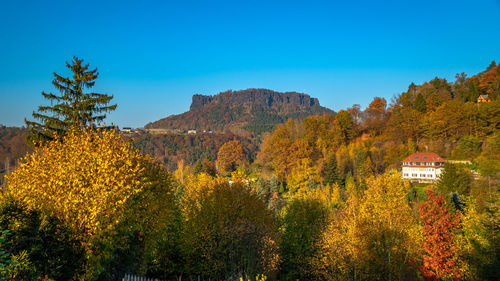 autumn