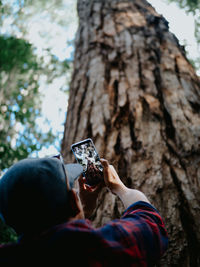 Low angle view of man photographing on tree trunk
