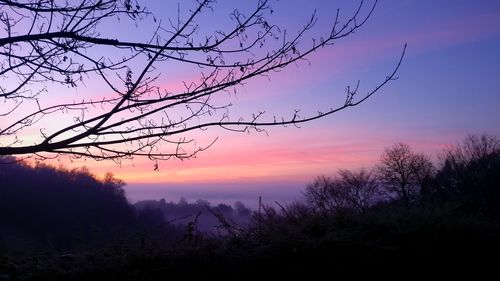 Silhouette bare tree against sky during sunset