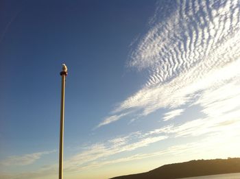 Low angle view of vapor trail against sky