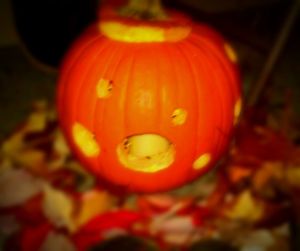 Close-up view of pumpkin