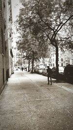 People walking on road