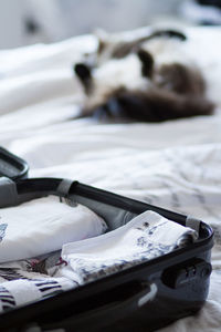 Close-up suitcase on bed