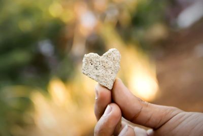 Close-up of hand holding heart shape leaf