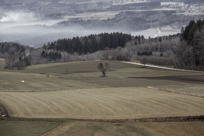 Scenic view of landscape