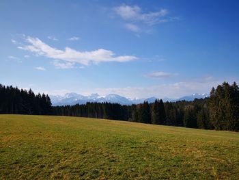 Scenic view of field against sky