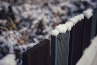 Close-up of snow