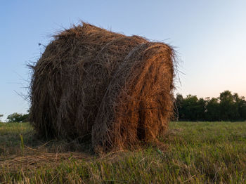 Hay bales on field against clear sky