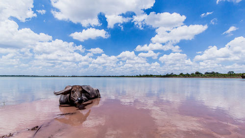 Scenic view of lake against sky