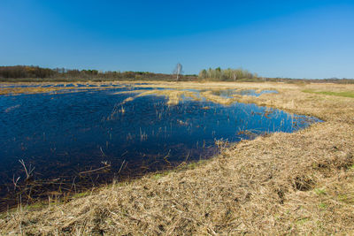 Water on a wild meadow, horizon and blue sky