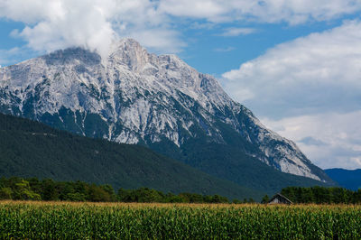 Scenic view of cornfield against mountains and sky