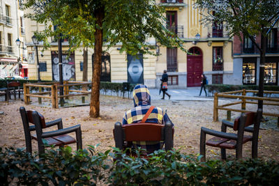 Chairs and trees