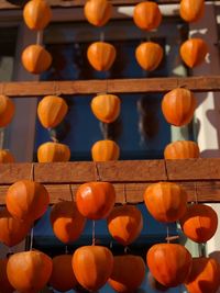 Close-up of orange fruits hanging in row