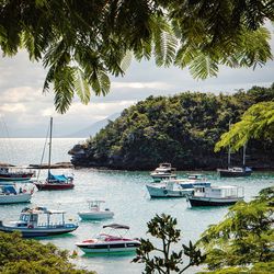 Boats moored at harbor