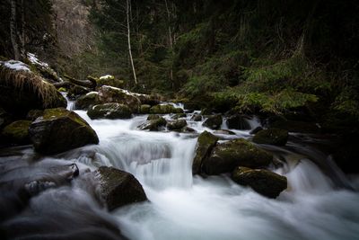 Scenic view of waterfall in forest