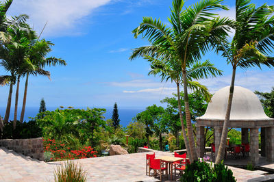 Palm trees by swimming pool against sky