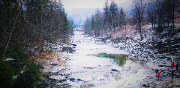 Scenic view of river in forest during winter