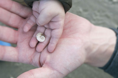 Close-up of baby giving shell on fathers hand