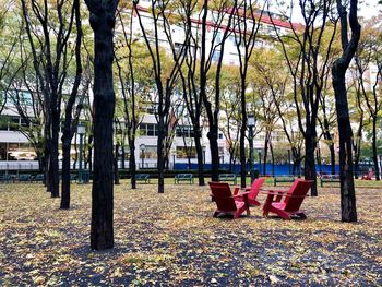 Bare trees in park against sky