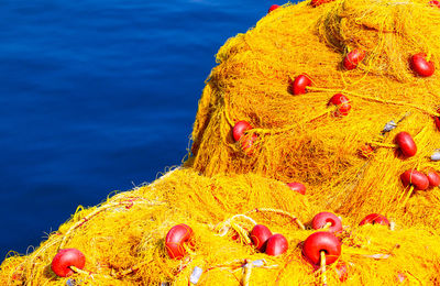 Close-up of orange fruit on sea shore