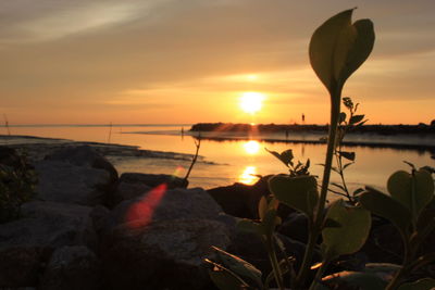 Close-up of rocks on shore against sunset sky