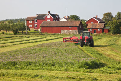 Tractor mowing grass