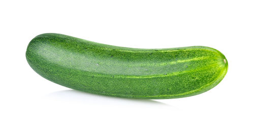 High angle view of green leaf on white background